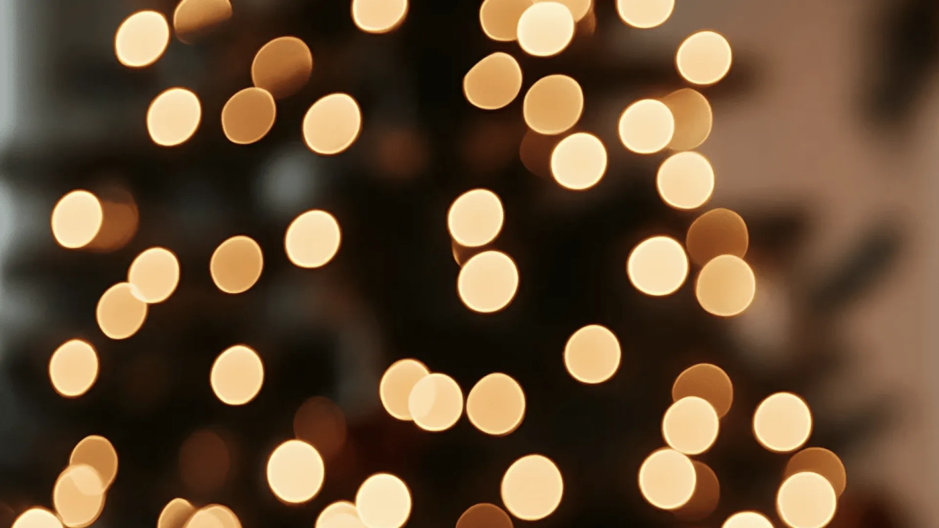 VOM MOMENT ZUR ERINNERUNG